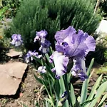 山林小屋 Quinta Santo Antonio
