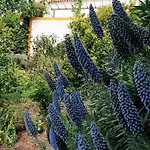 山林小屋 Quinta Santo Antonio Pereiro da Palhacana