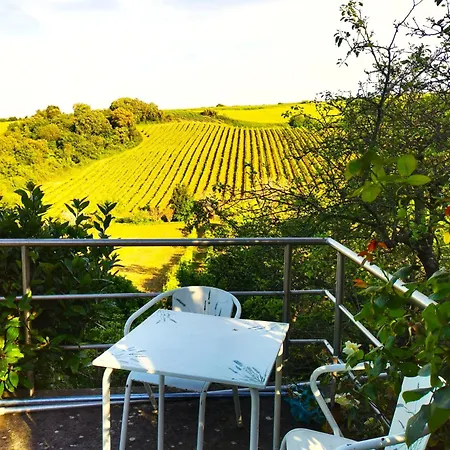 Quinta Santo Antonio * Pereiro da Palhacana