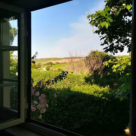 Quinta Santo Antonio بيت خشبي Pereiro da Palhacana