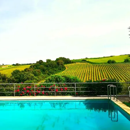 بيت خشبي Quinta Santo Antonio *