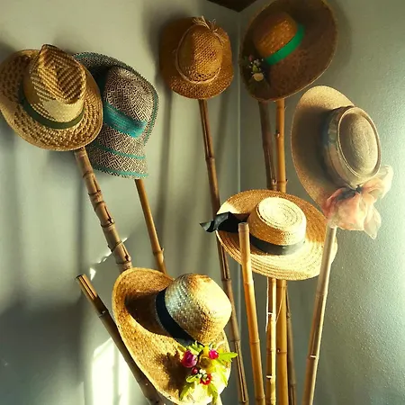 Quinta Santo Antonio بيت خشبي