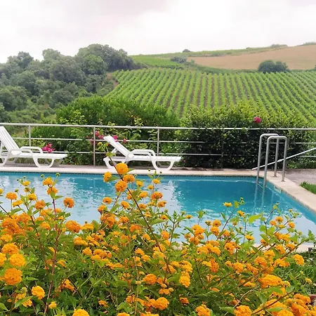 Quinta Santo Antonio Lodge *