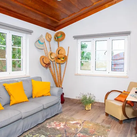 بيت خشبي Quinta Santo Antonio Pereiro da Palhacana