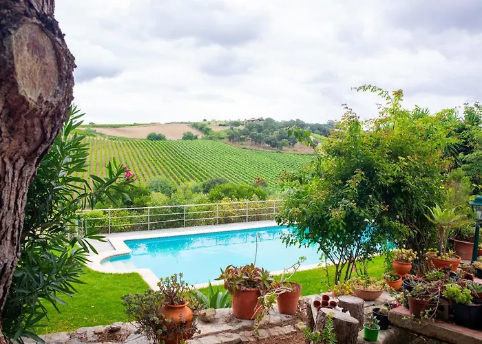 Hytte Quinta Santo Antonio